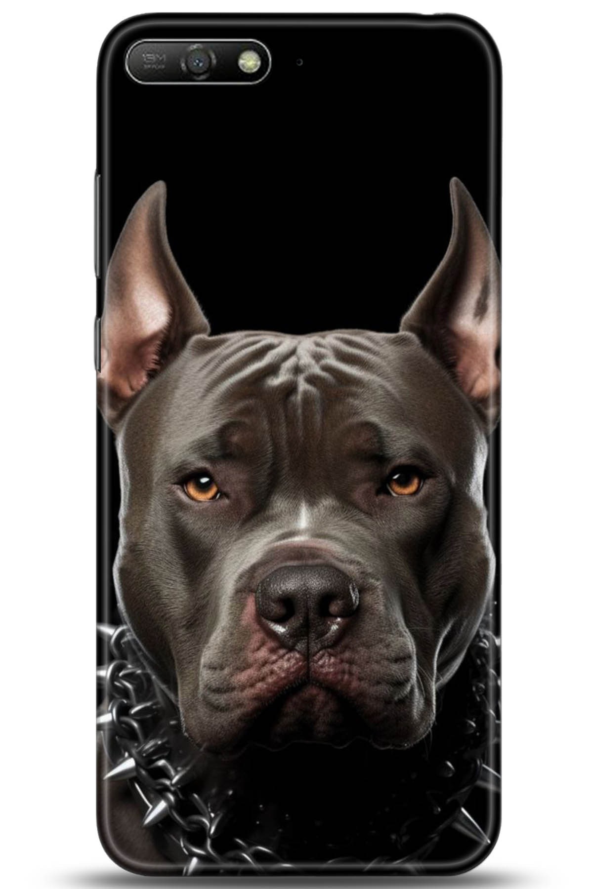 Huawei Y6 2018 Uyumlu Kılıf HD Baskılı Kılıf - Followed Institution 5104