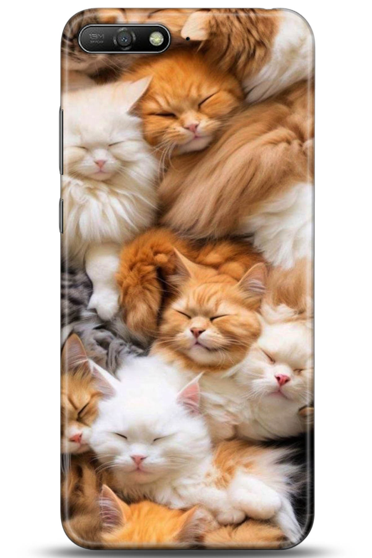 Huawei Y6 2018 Uyumlu Kılıf HD Baskılı Kılıf - Followed Institution 5234