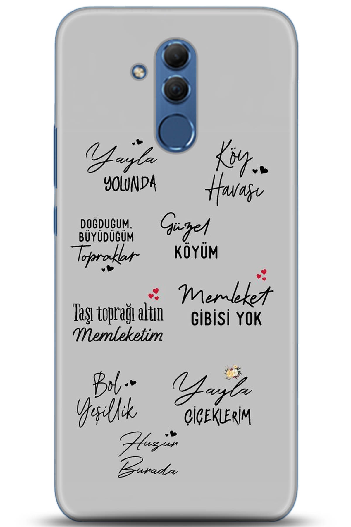 Huawei Mate 20 Lite Uyumlu Kılıf HD Baskılı Kılıf - Followed Institution 5210