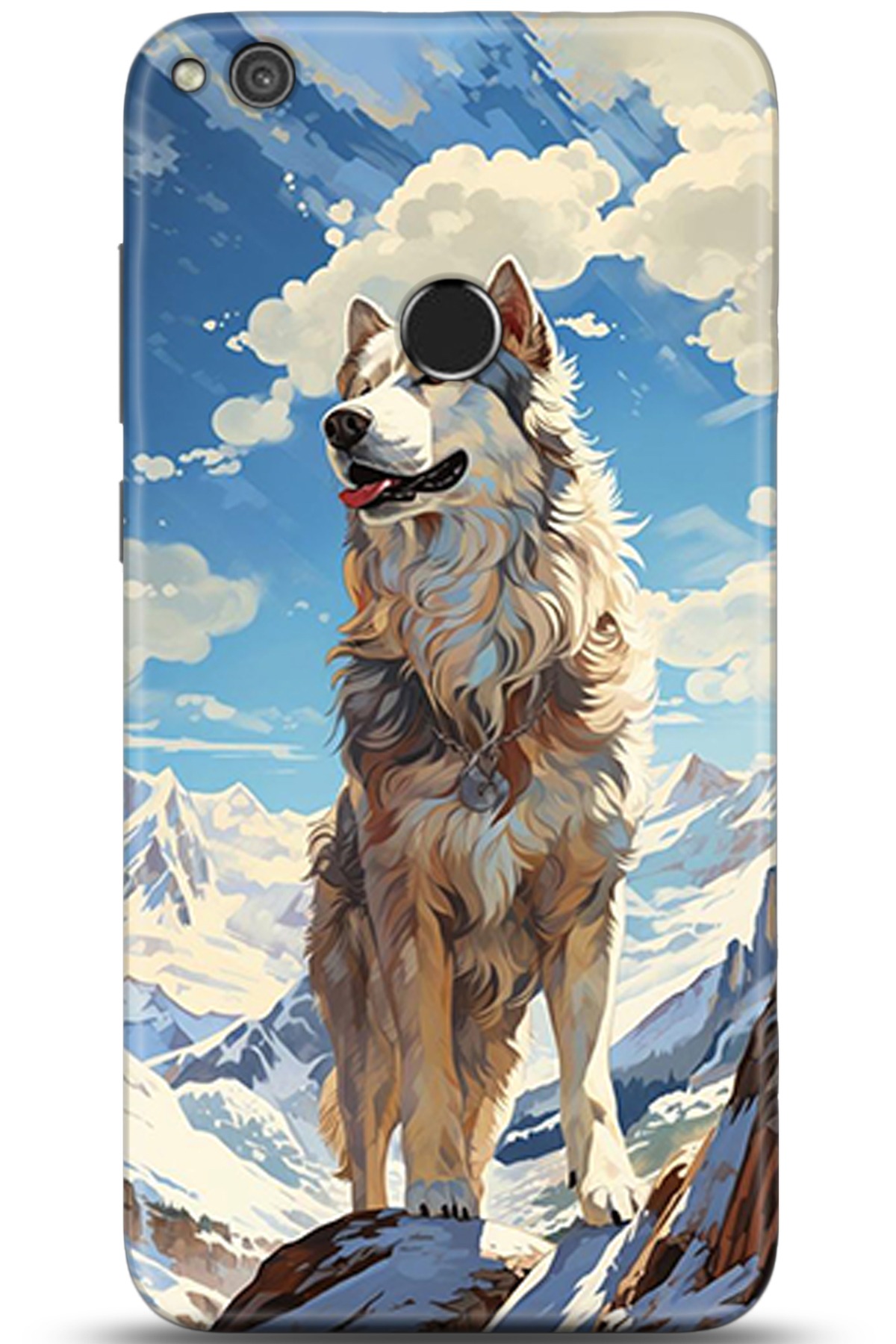 Huawei P9 Lite 2017 Uyumlu Kılıf HD Baskılı Kılıf - Followed Institution 5357