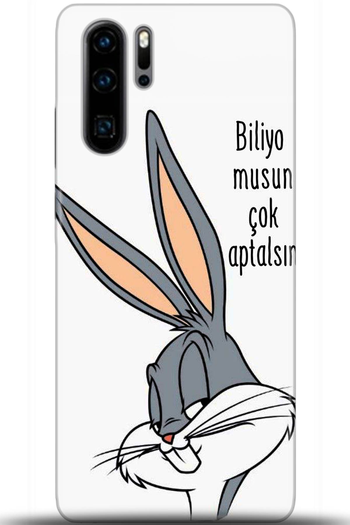 Huawei P30 Pro Uyumlu Kılıf HD Baskılı Kılıf - Followed Institution 5685