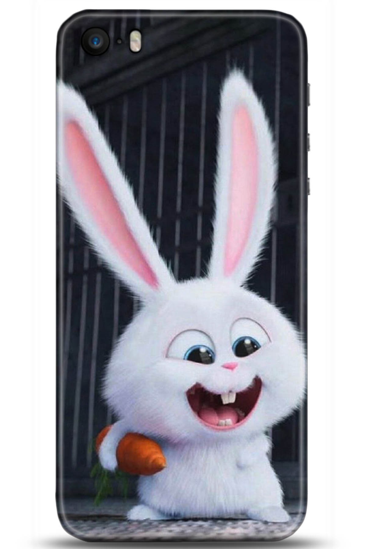 Apple iPhone 5S Uyumlu Kılıf HD Baskılı Kılıf - Followed Institution 5048