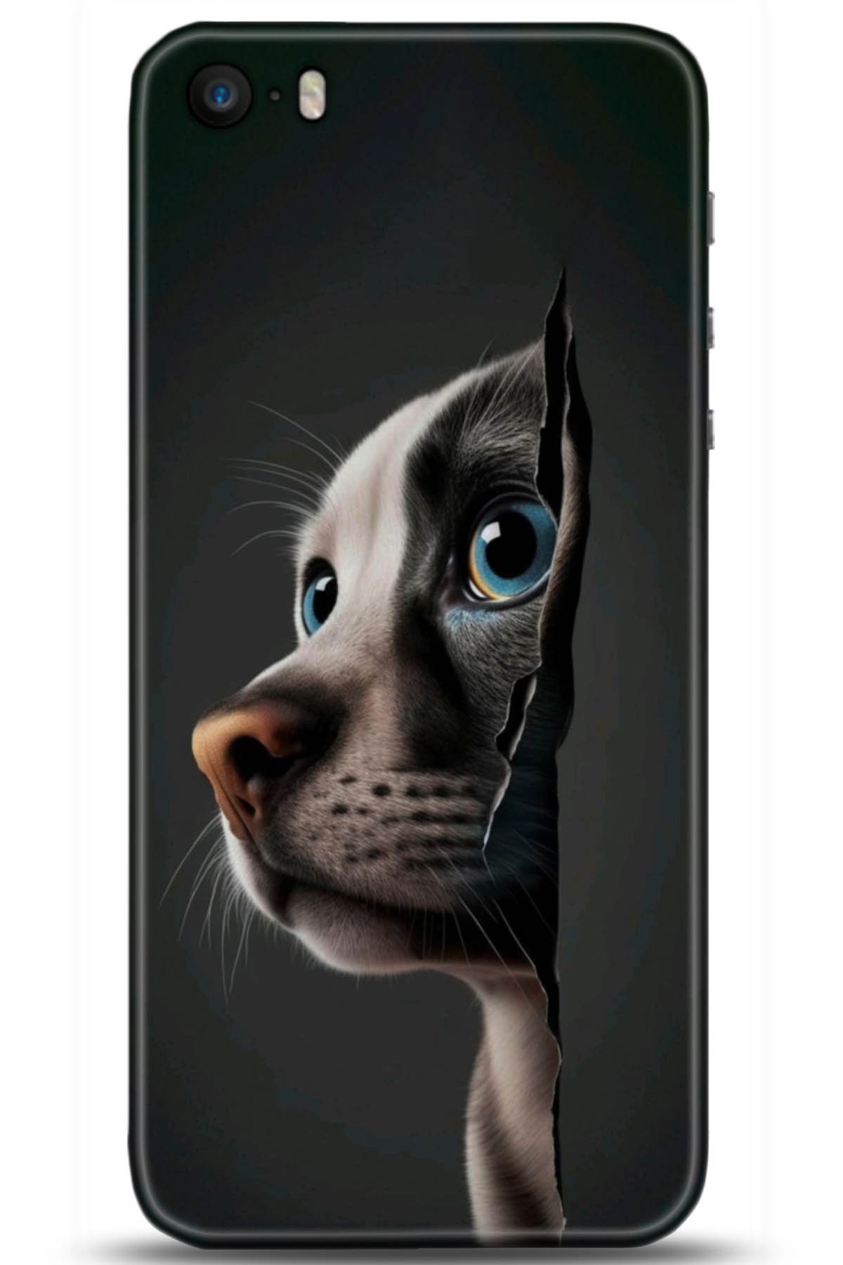 Apple iPhone 5S Uyumlu Kılıf HD Baskılı Kılıf - Followed Institution 5108