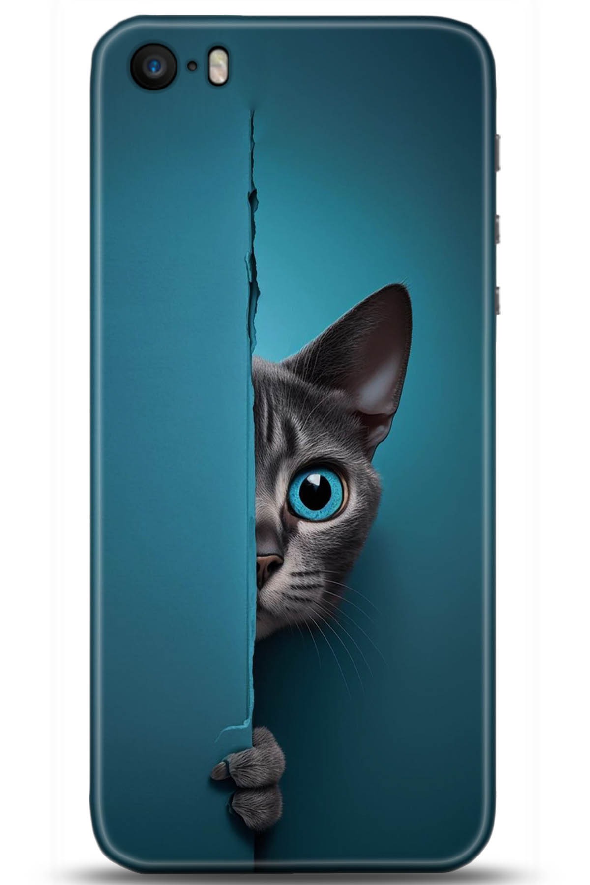 Apple iPhone 5S Uyumlu Kılıf HD Baskılı Kılıf - Followed Institution 5204