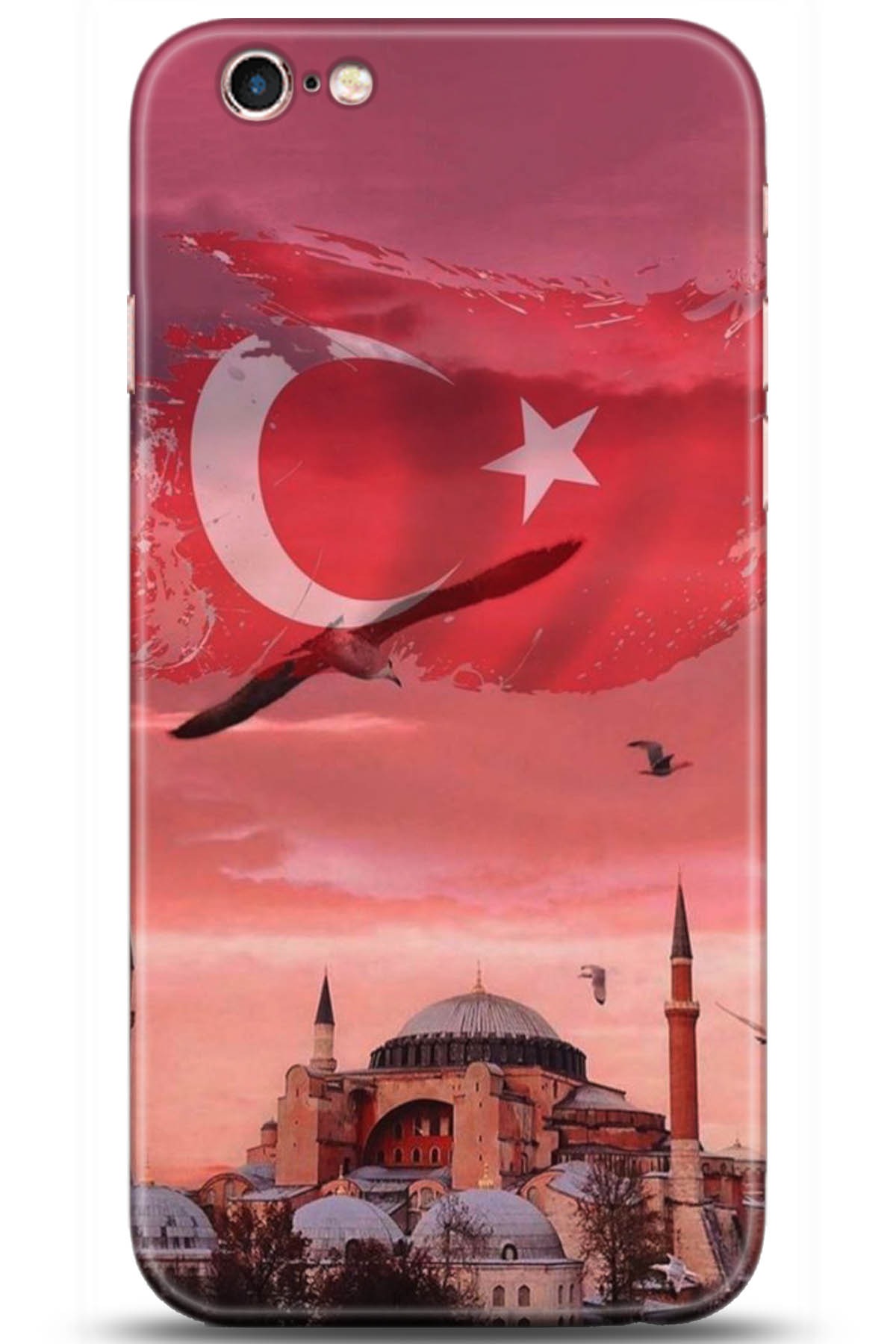 Apple iPhone 6S Uyumlu Kılıf HD Baskılı Kılıf - Followed Institution 5179