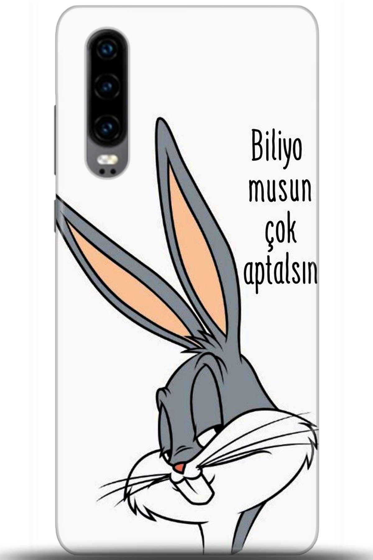 Huawei P30 Uyumlu Kılıf HD Baskılı Kılıf - Followed Institution 5685