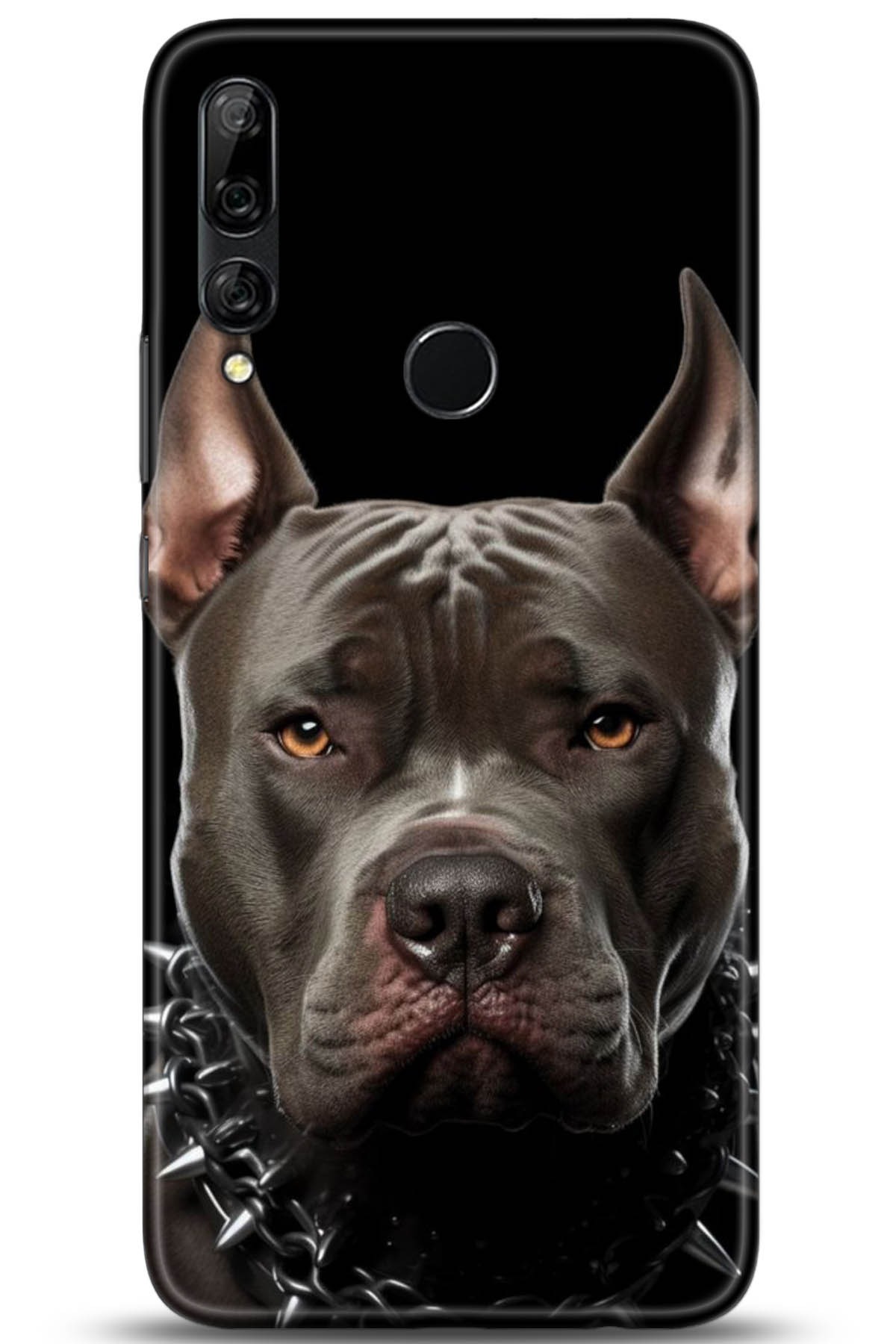 Huawei Y9 Prime 2019 Uyumlu Kılıf HD Baskılı Kılıf - Followed Institution 5104