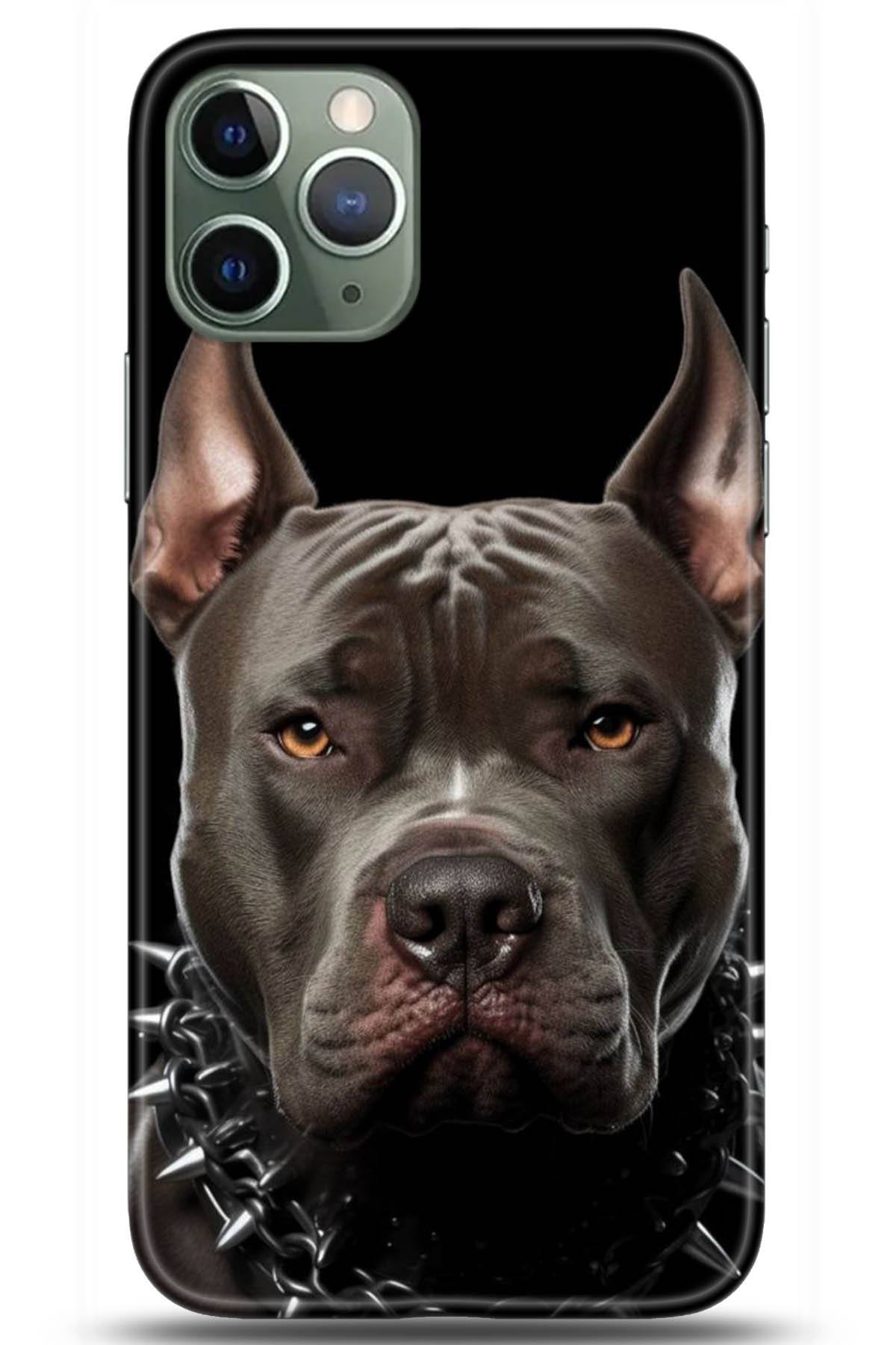 Apple iPhone 11 Pro Max Uyumlu Kılıf HD Baskılı Kılıf - Followed Institution 5104