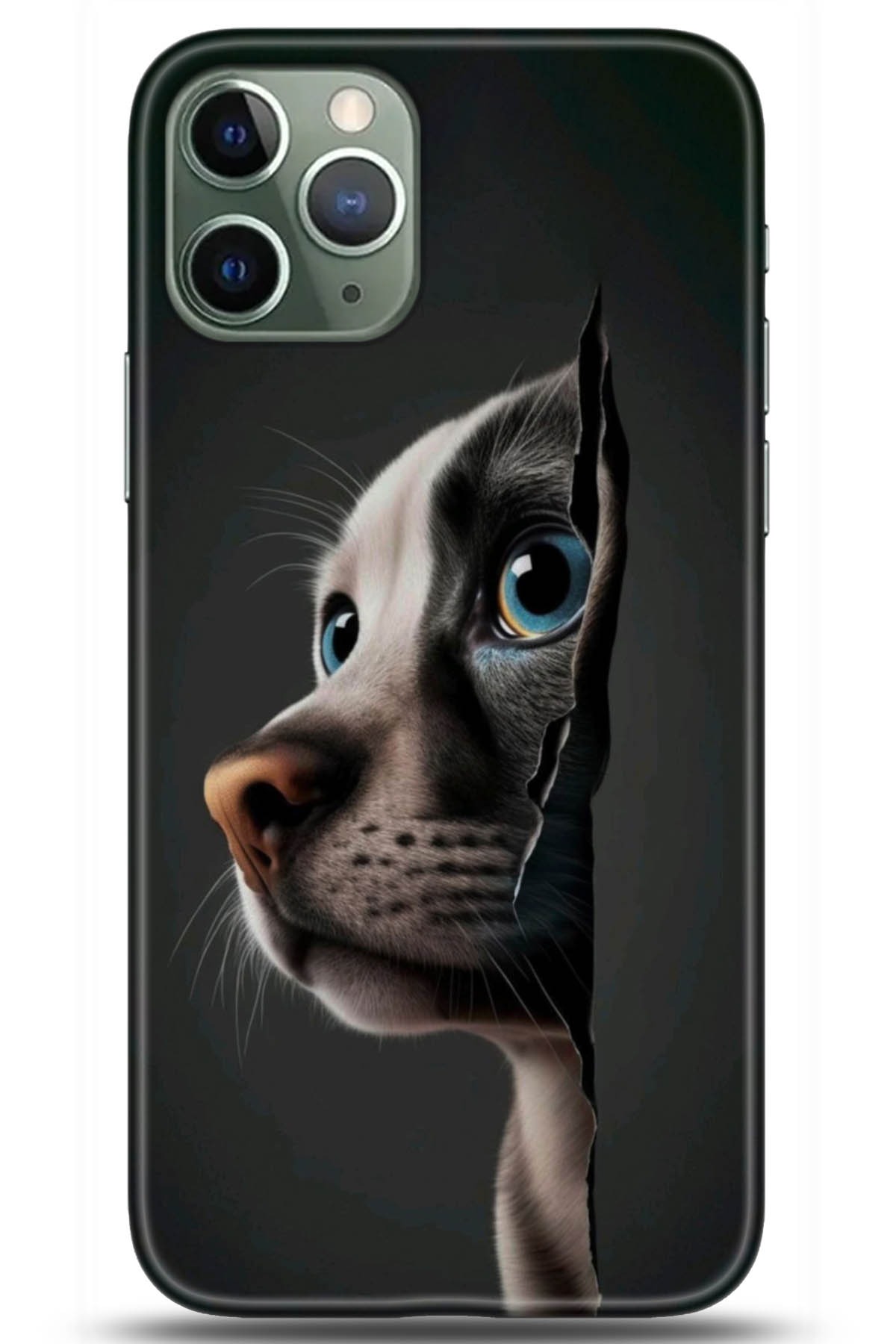 Apple iPhone 11 Pro Max Uyumlu Kılıf HD Baskılı Kılıf - Followed Institution 5108