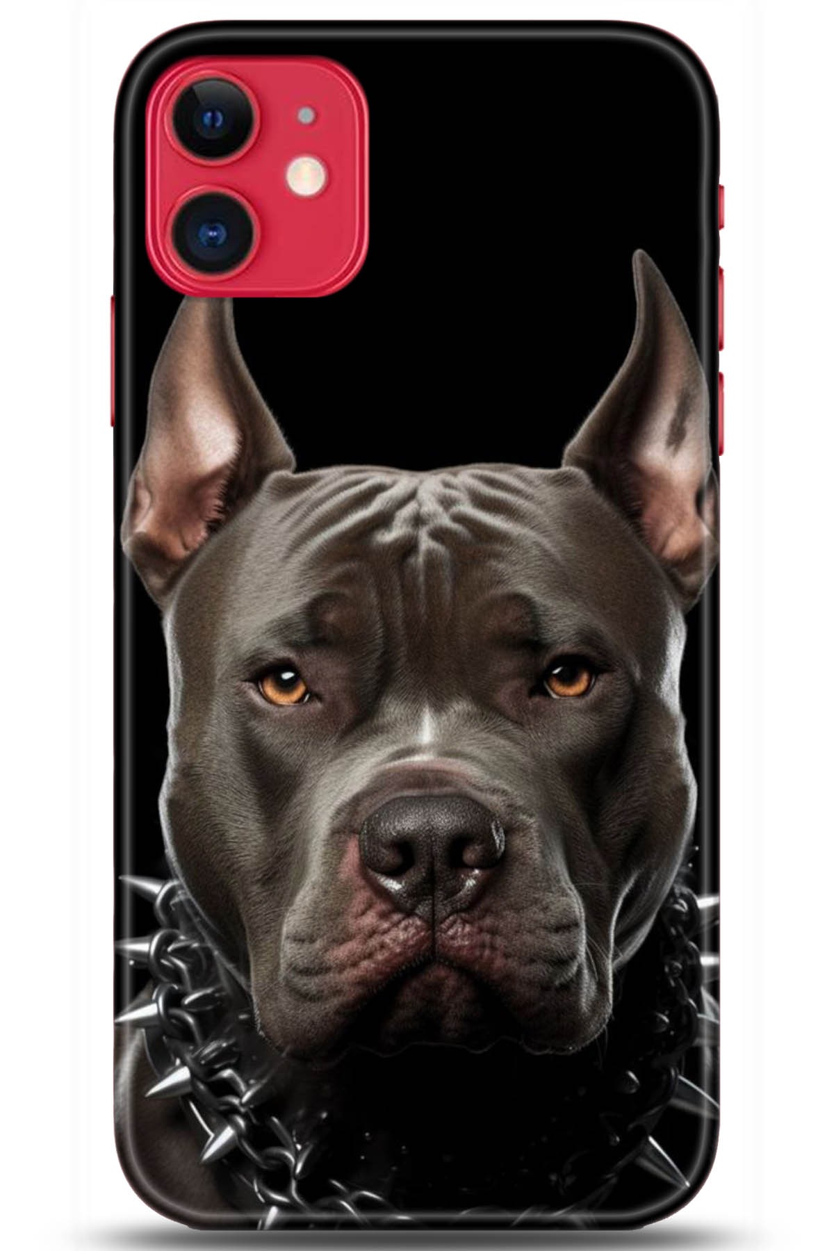 Apple iPhone 11 Uyumlu Kılıf HD Baskılı Kılıf - Followed Institution 5104