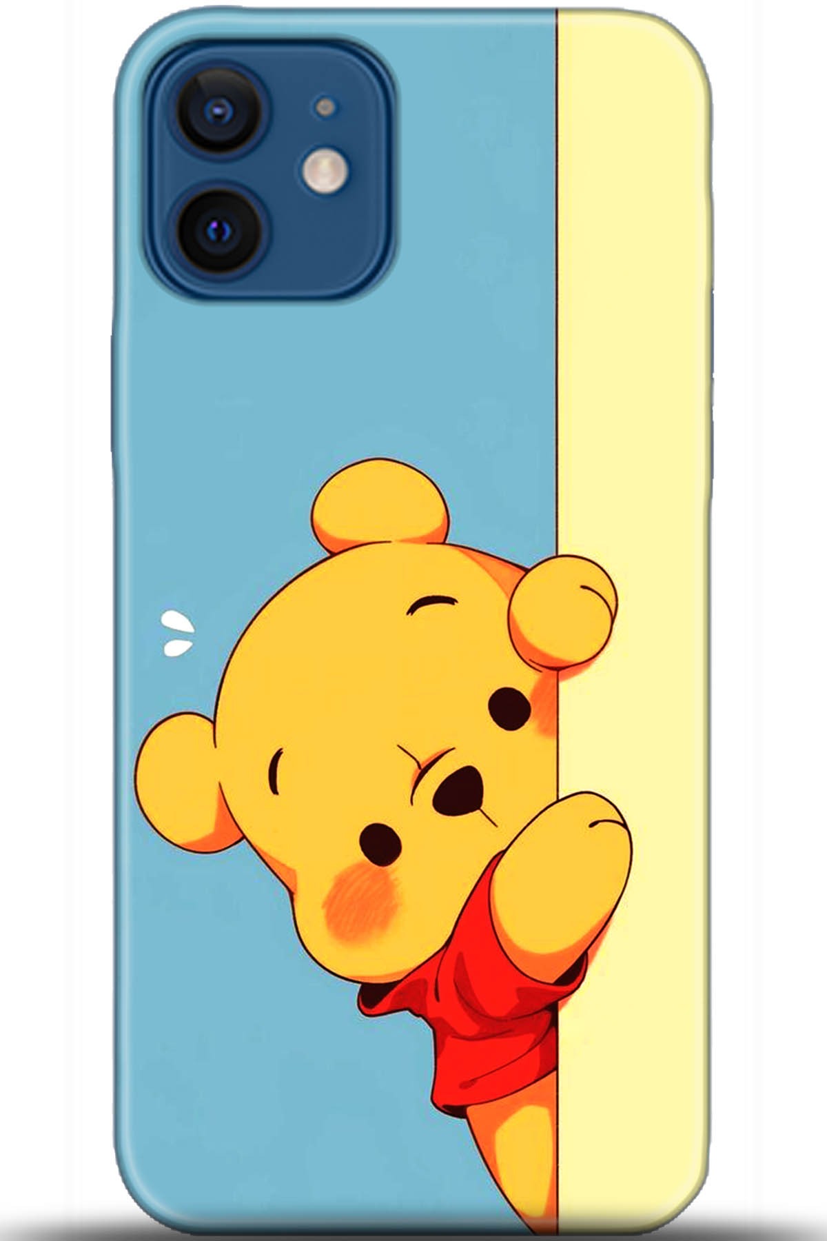 Apple iPhone 12 Mini Uyumlu Kılıf HD Baskılı Kılıf - Followed Institution 5648