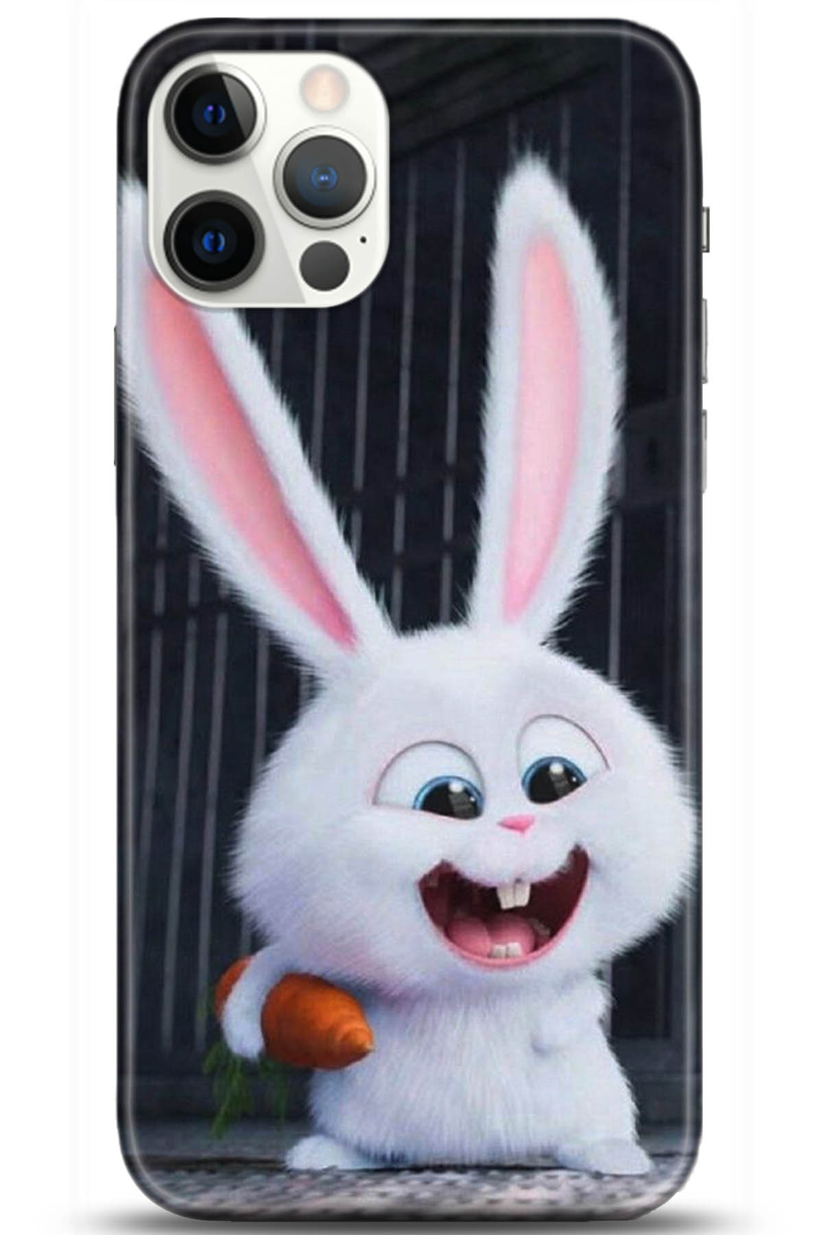 Apple iPhone 12 Pro 6.1inç Uyumlu Kılıf HD Baskılı Kılıf - Followed Institution 5048