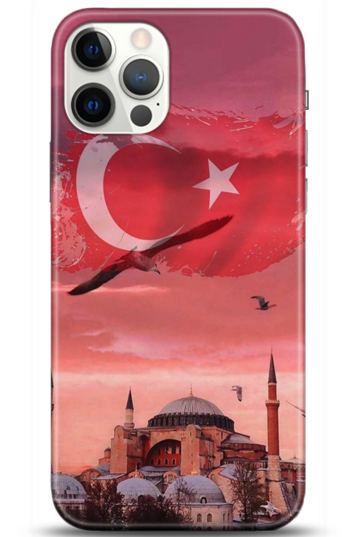Apple iPhone 12 Pro 6.1inç Uyumlu Kılıf HD Baskılı Kılıf - Followed Institution 5179