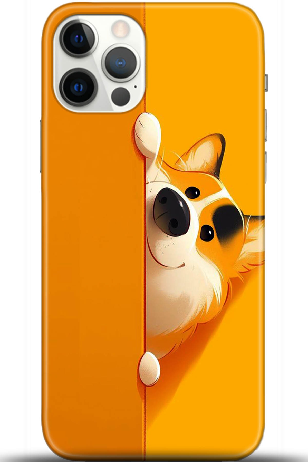 Apple iPhone 12 Pro 6.1inç Uyumlu Kılıf HD Baskılı Kılıf - Followed Institution 5460