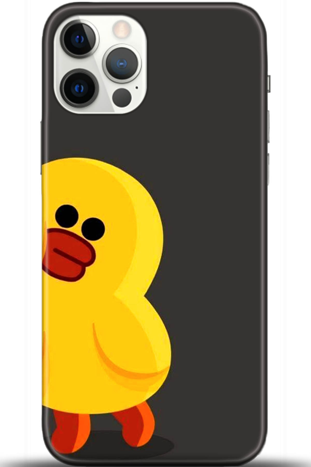 Apple iPhone 12 Pro 6.1inç Uyumlu Kılıf HD Baskılı Kılıf - Followed Institution 5519