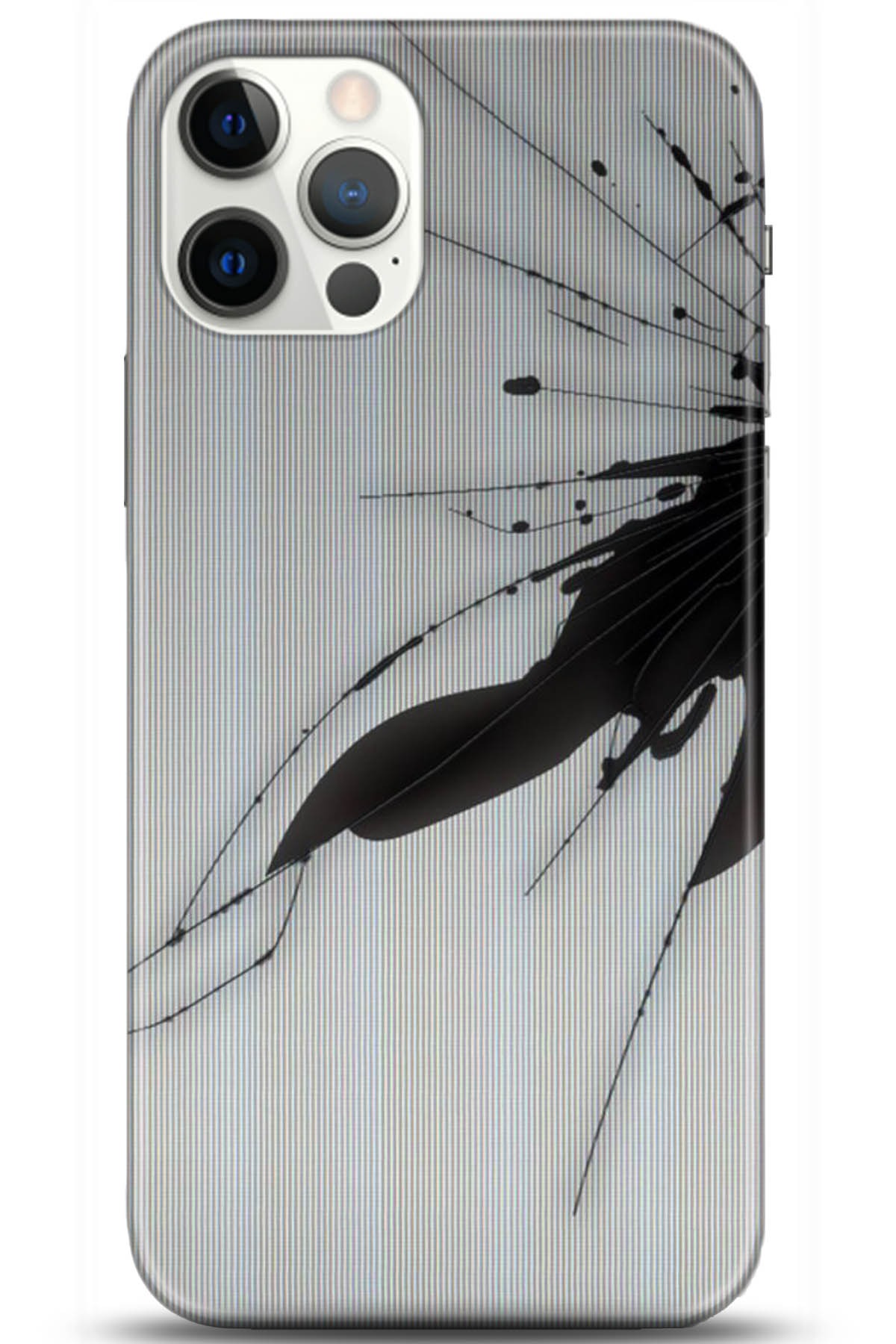 Apple iPhone 12 Pro Max 6.7inç Uyumlu Kılıf HD Baskılı Kılıf - Followed Institution 5152