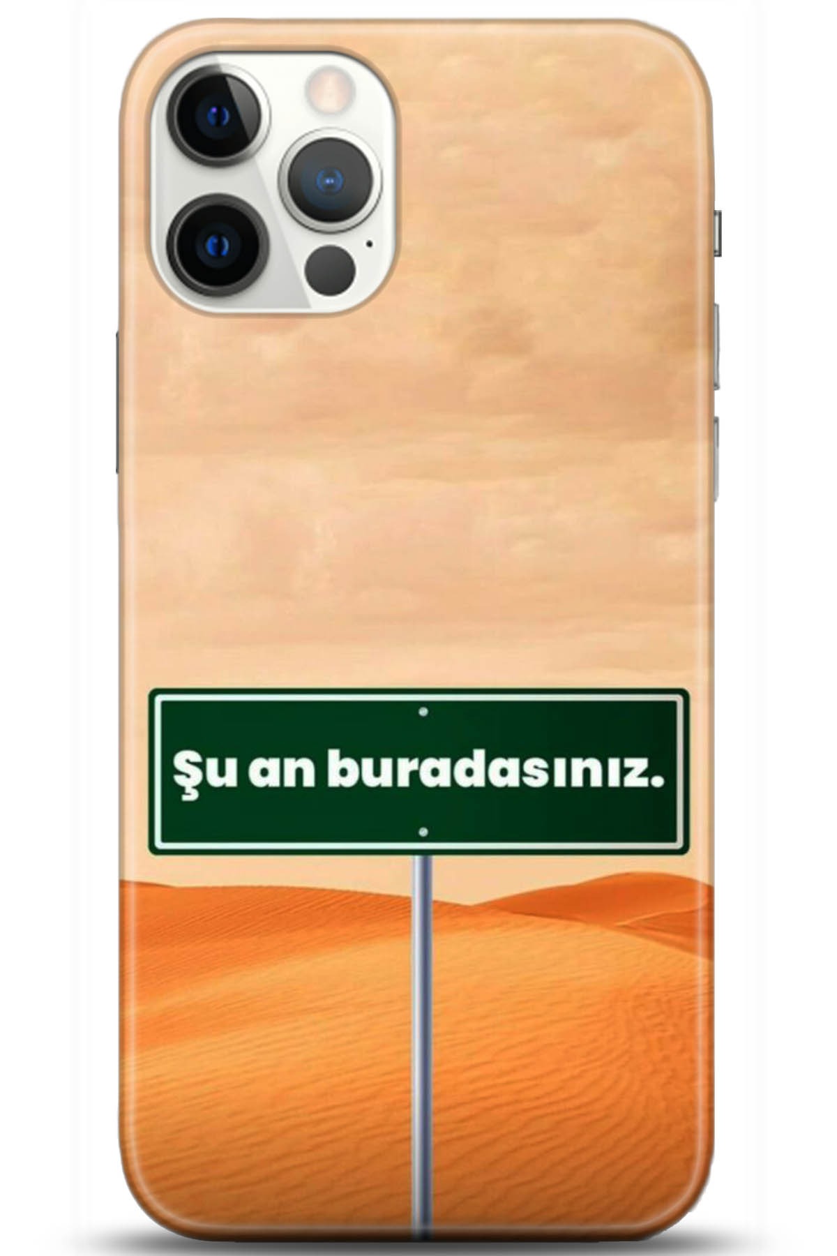 Apple iPhone 12 Pro Max 6.7inç Uyumlu Kılıf HD Baskılı Kılıf - Followed Institution 5159