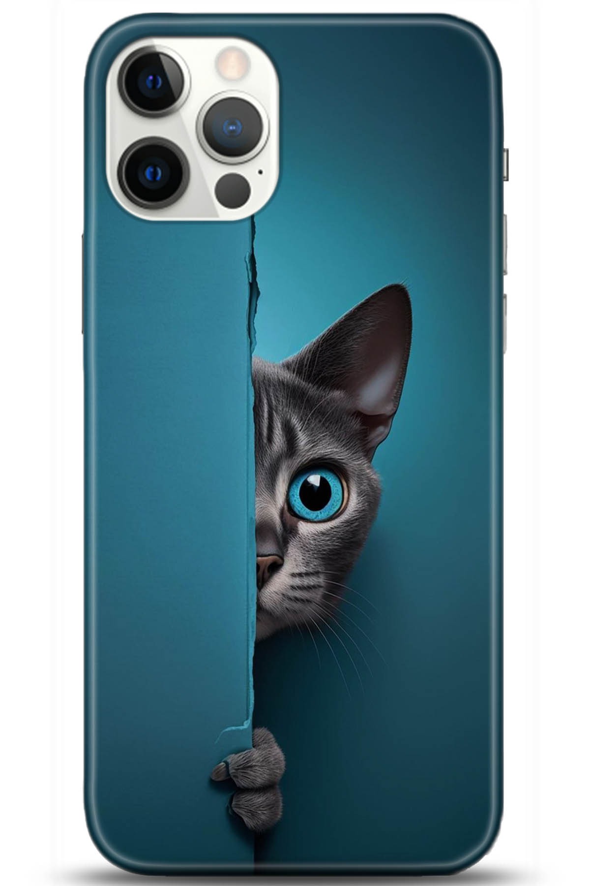 Apple iPhone 12 Pro Max 6.7inç Uyumlu Kılıf HD Baskılı Kılıf - Followed Institution 5204