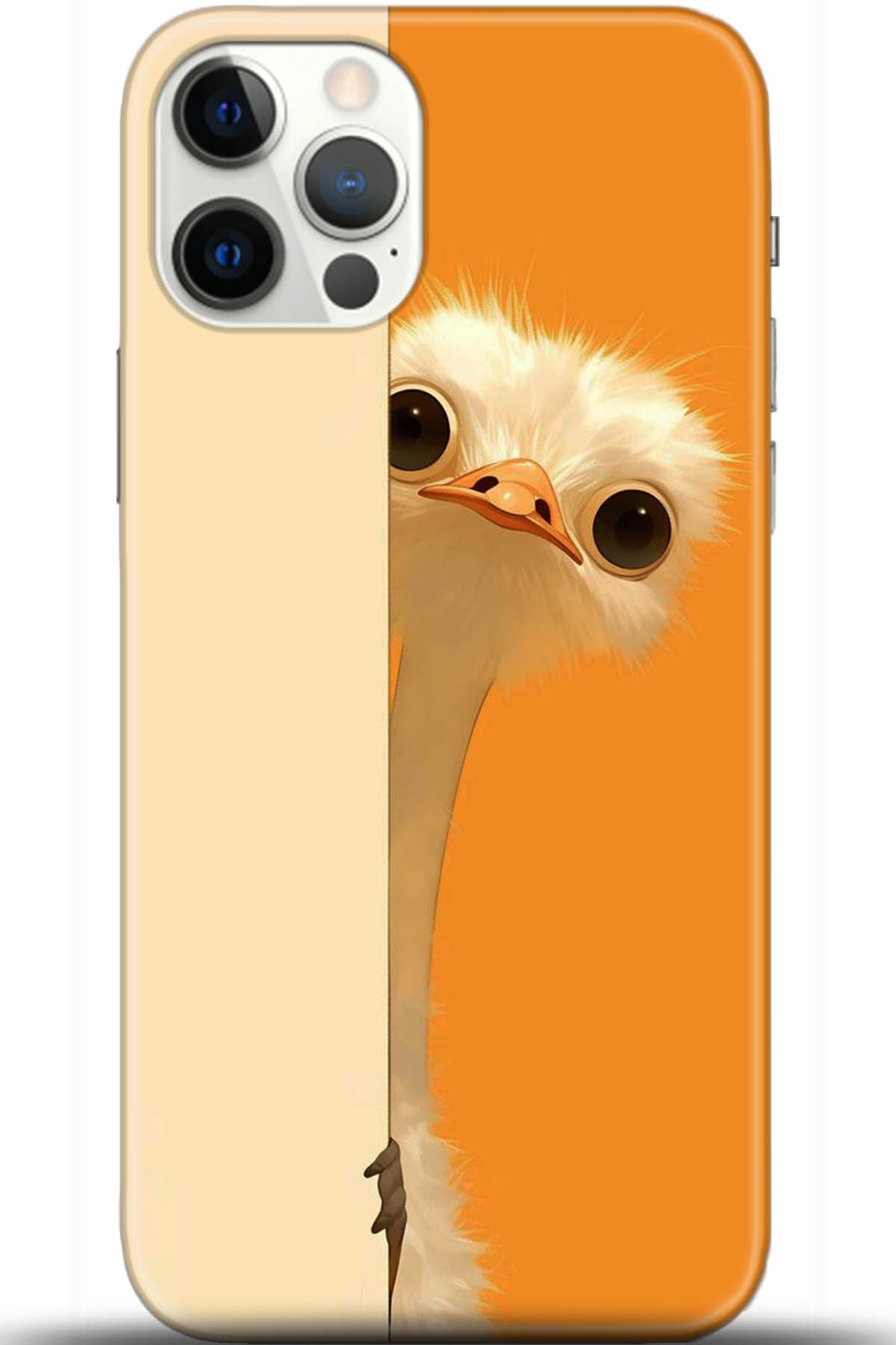 Apple iPhone 12 Pro Max 6.7inç Uyumlu Kılıf HD Baskılı Kılıf - Followed Institution 5418