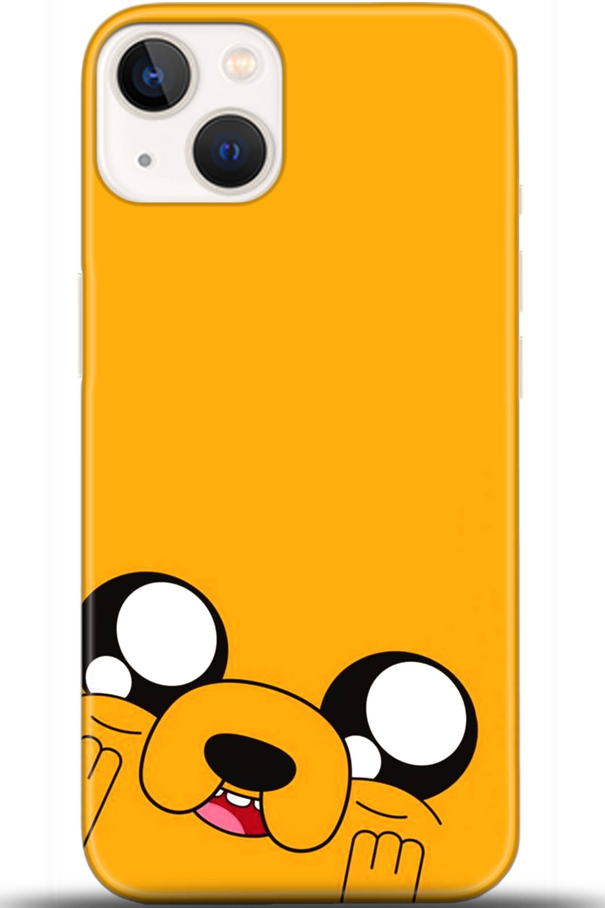 Apple iPhone 13 Uyumlu Kılıf HD Baskılı Kılıf - Followed Institution 5531