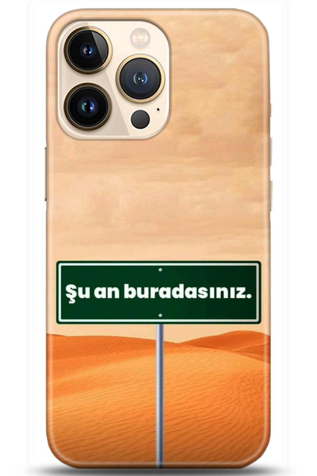 Apple iPhone 13 Pro Uyumlu Kılıf HD Baskılı Kılıf - Followed Institution 5159