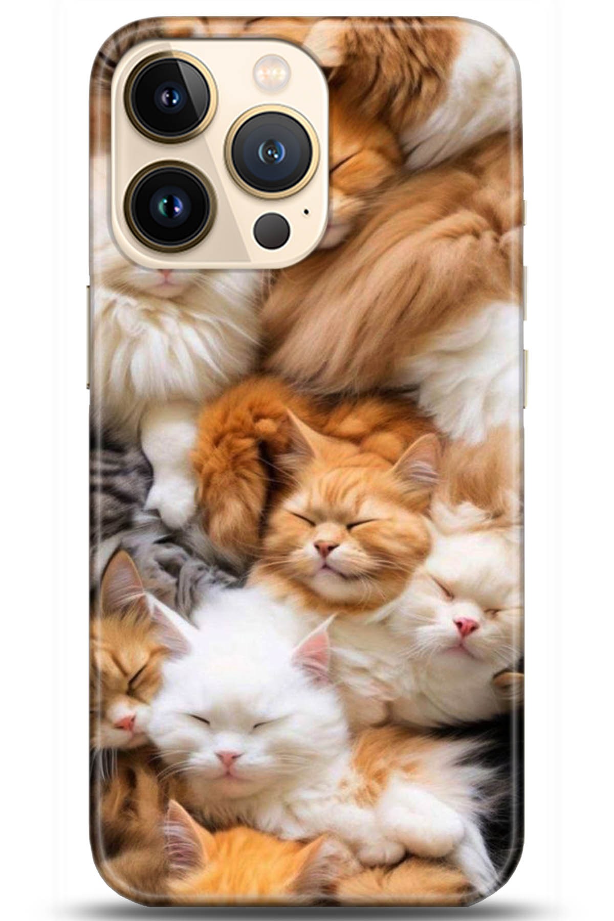 Apple iPhone 13 Pro Uyumlu Kılıf HD Baskılı Kılıf - Followed Institution 5234