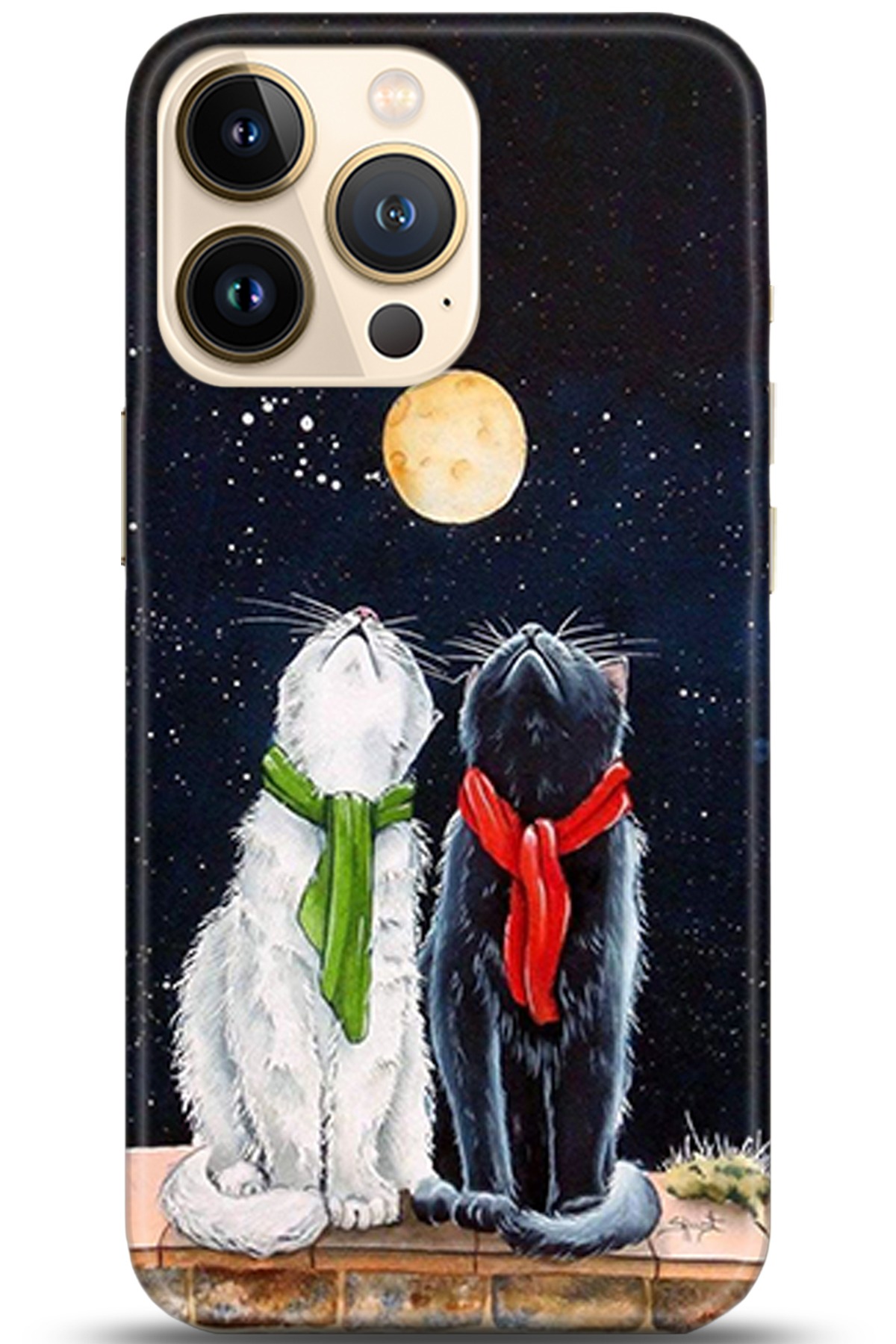 Apple iPhone 13 Pro Uyumlu Kılıf HD Baskılı Kılıf - Followed Institution 5318