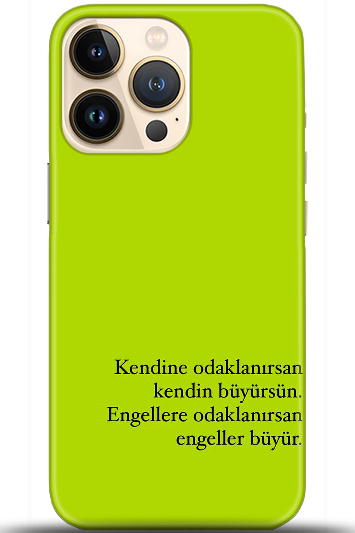Apple iPhone 13 Pro Uyumlu Kılıf HD Baskılı Kılıf - Followed Institution 5593
