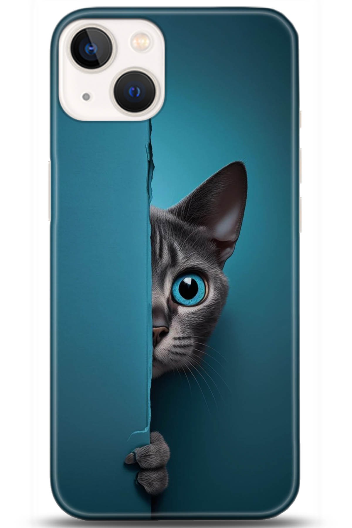 Apple iPhone 13 Mini Uyumlu Kılıf HD Baskılı Kılıf - Followed Institution 5091