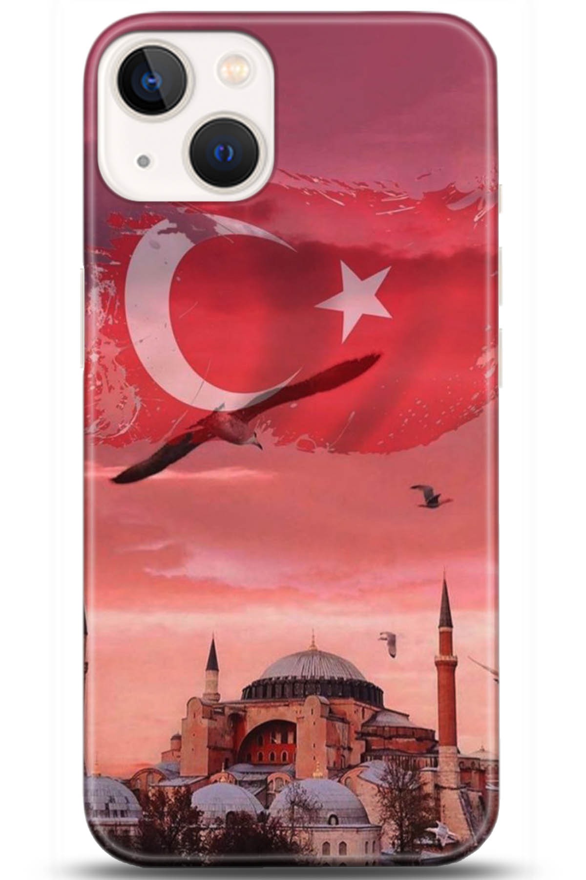 Apple iPhone 13 Mini Uyumlu Kılıf HD Baskılı Kılıf - Followed Institution 5179