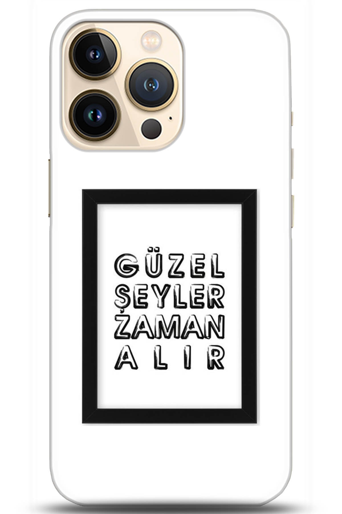 Apple iPhone 13 Pro Max Uyumlu Kılıf HD Baskılı Kılıf - Followed Institution 5307