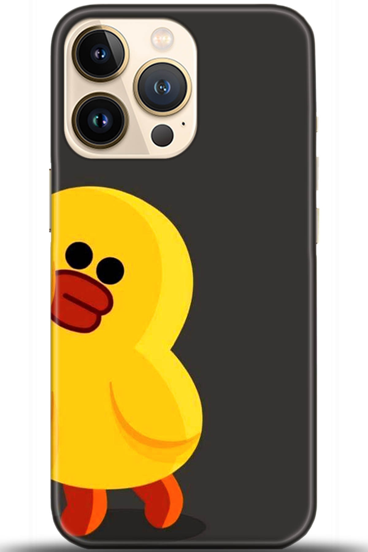 Apple iPhone 13 Pro Max Uyumlu Kılıf HD Baskılı Kılıf - Followed Institution 5519