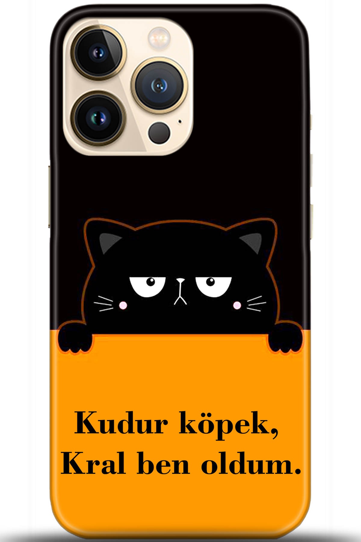 Apple iPhone 13 Pro Max Uyumlu Kılıf HD Baskılı Kılıf - Followed Institution 5719