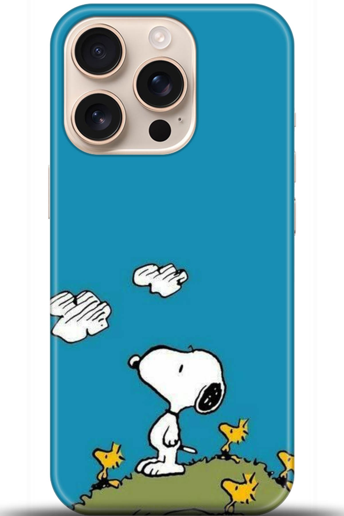 Apple iPhone 16 Pro Uyumlu Kılıf HD Baskılı Kılıf - Followed Institution 5099