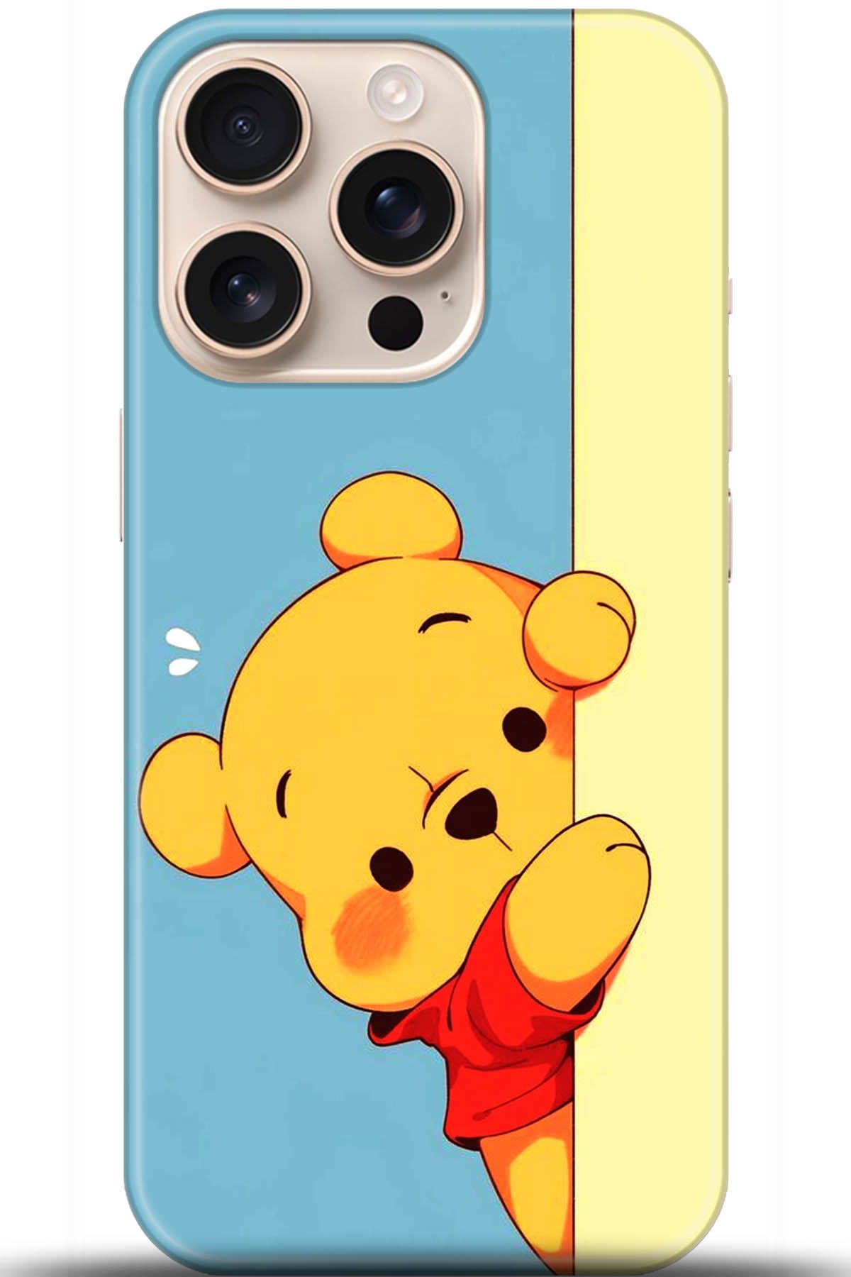 Apple iPhone 16 Pro Max Uyumlu Kılıf HD Baskılı Kılıf - Followed Institution 5648